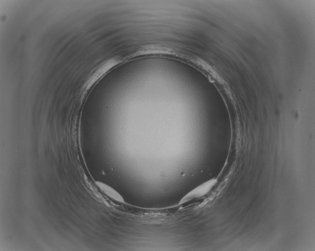 X0000082711137200702091741