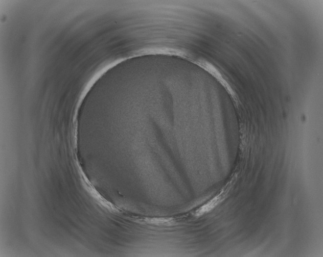 X0000082711140200702091741