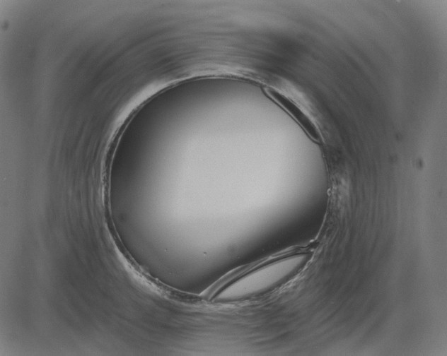 X0000082711143200702091741