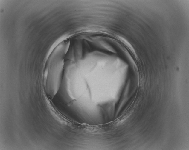 X0000082711146200702091741