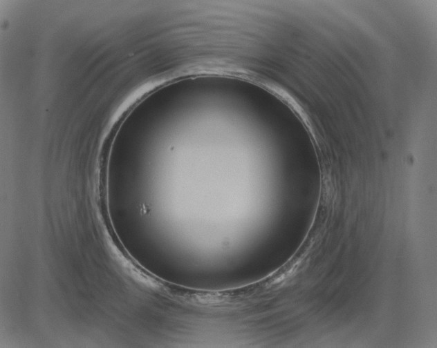 X0000082711147200702091741