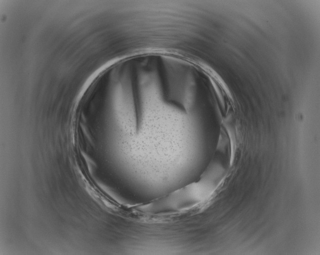 X0000082711148200702091741