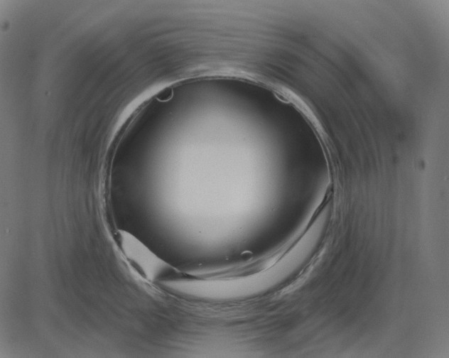 X0000082711149200702091741