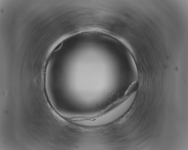 X0000082711151200702091741