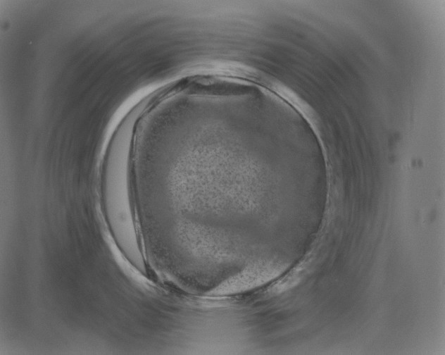 X0000082711152200702091741