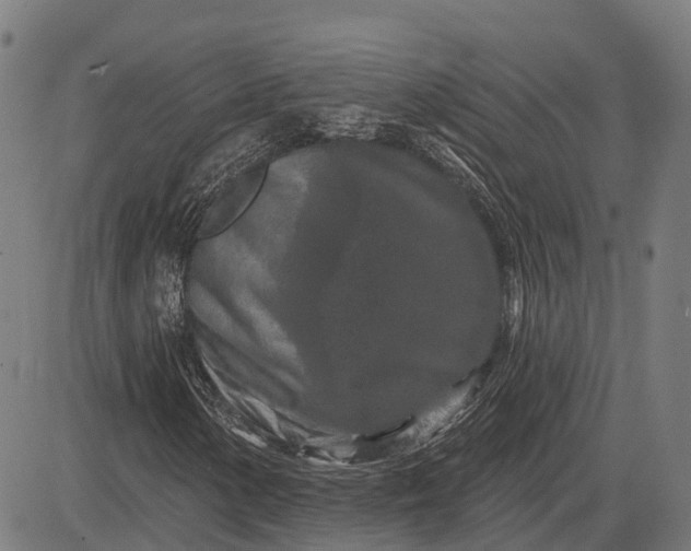 X0000082711154200702091740