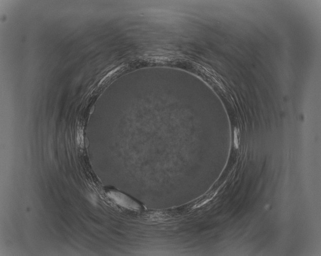 X0000082711155200702091740