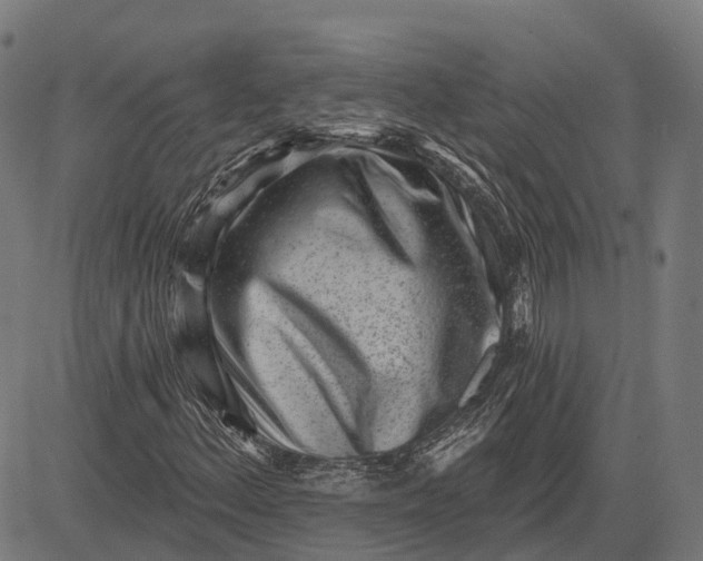 X0000082711156200702091740