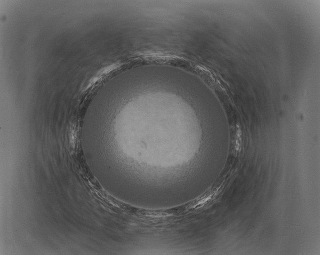 X0000082711157200702091740