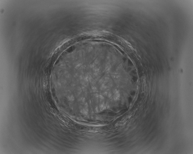 X0000082711158200702091740