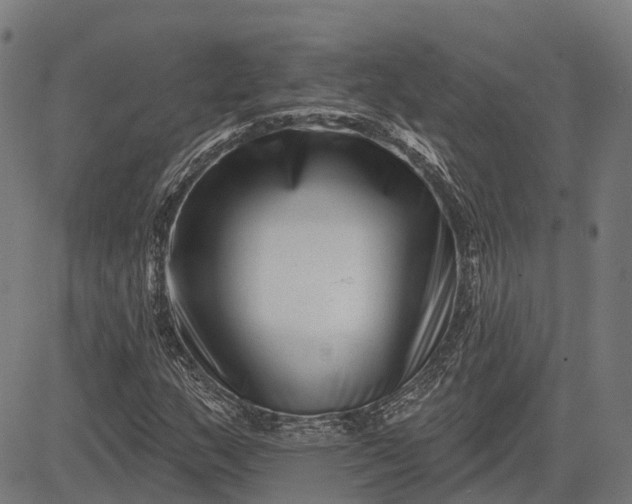 X0000082711159200702091740