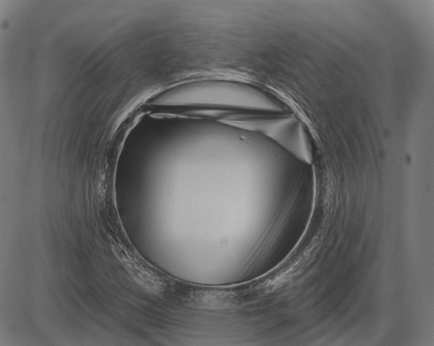 X0000082711163200702091740