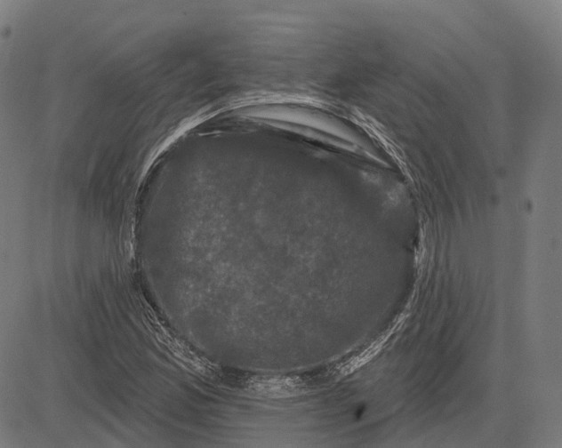 X0000082711165200702091740