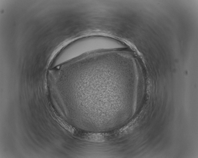 X0000082711167200702091740