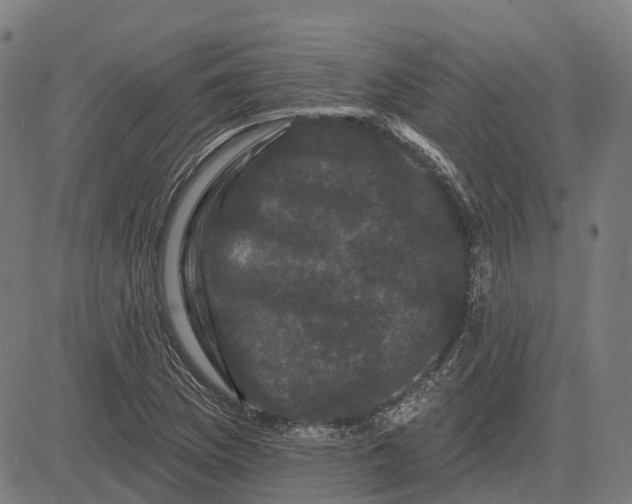 X0000082711169200702091740