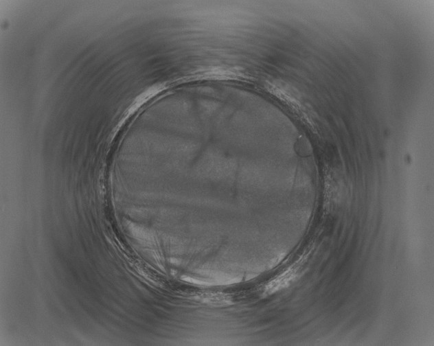 X0000082711170200702091740