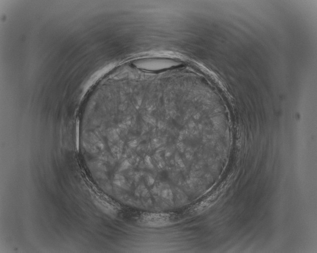 X0000082711171200702091740