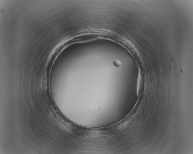 X0000082711172200702091740