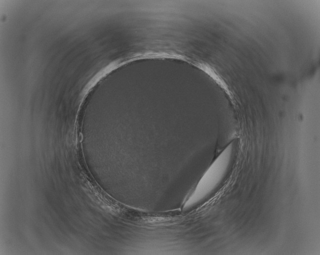 X0000082711173200702091740