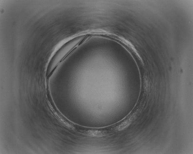 X0000082711176200702091740