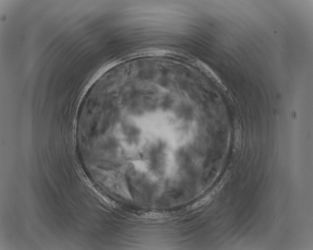 X0000082711178200702091740