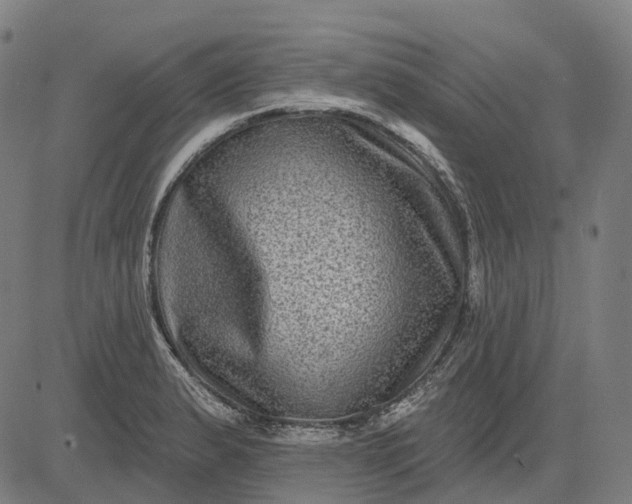 X0000082711183200702091740