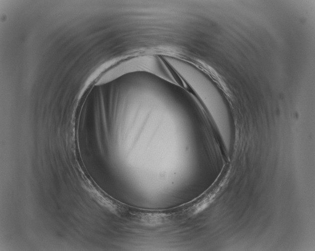 X0000082711184200702091740