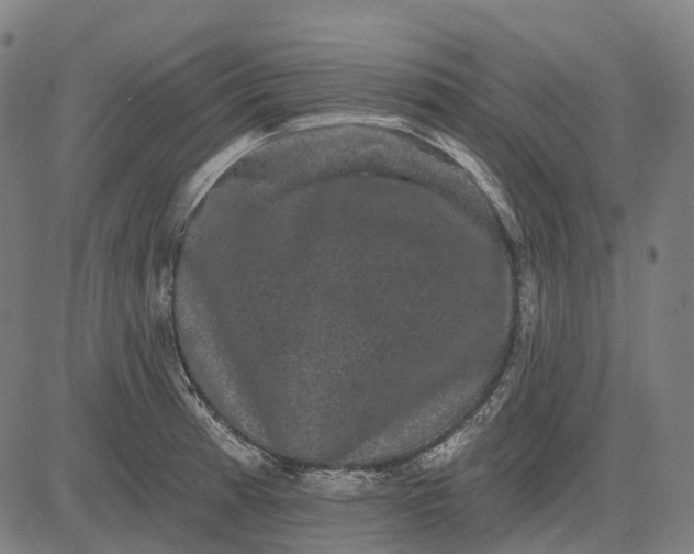 X0000082711185200702091740