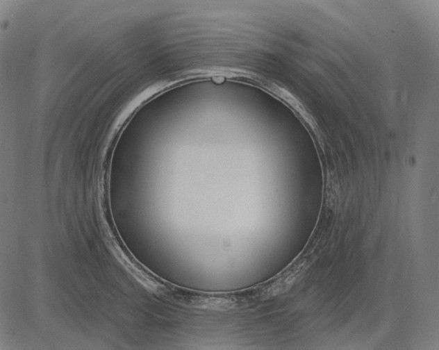 X0000082711187200702091740