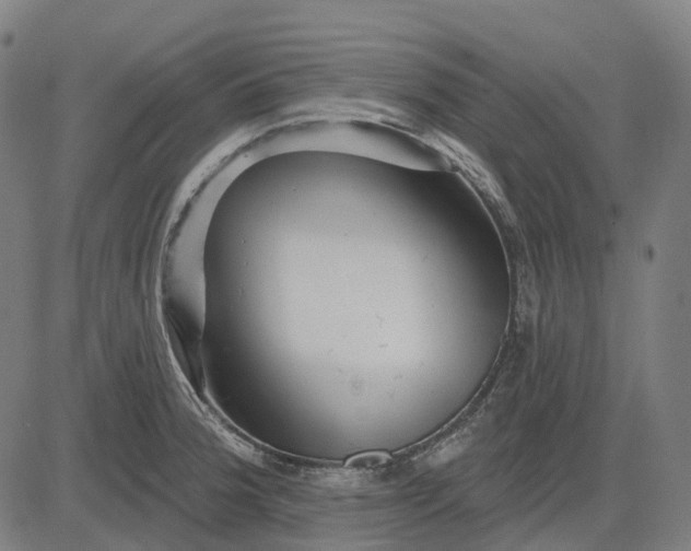 X0000082711188200702091740