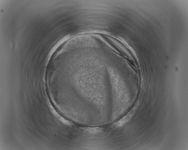 X0000082711189200702091740