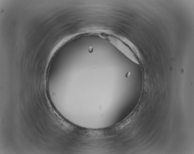 X0000082711191200702091740