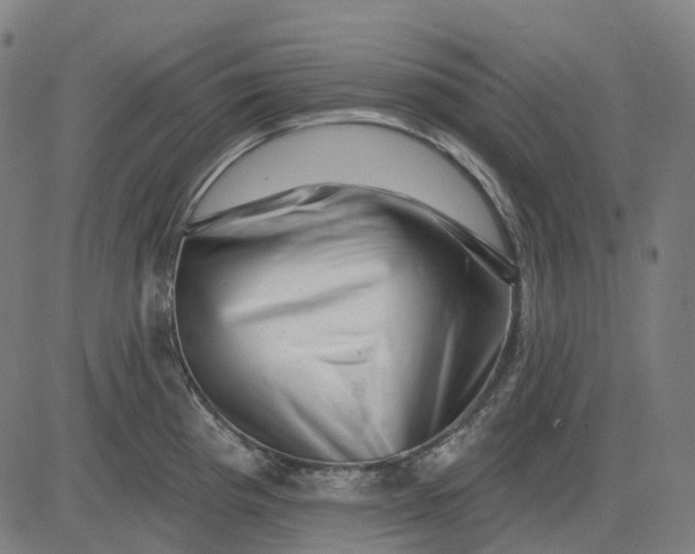 X0000082711193200702091740