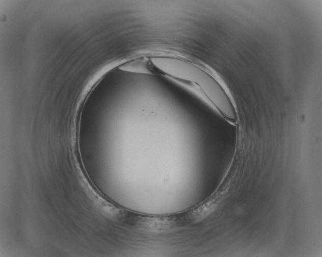 X0000082711195200702091740