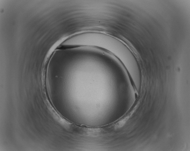 X0000082711196200702091740