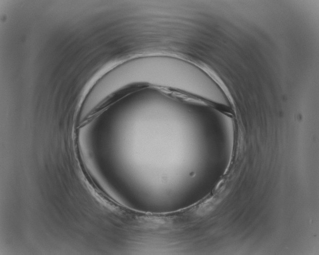 X0000082711197200702091740