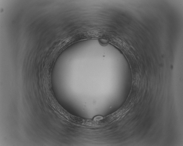 X0000082711201200702091739