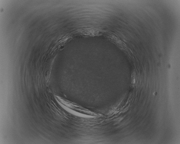 X0000082711202200702091739