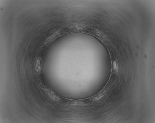 X0000082711203200702091739