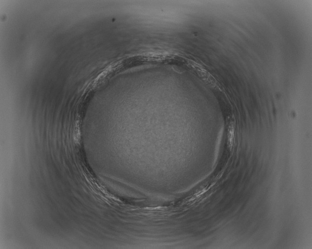 X0000082711204200702091739