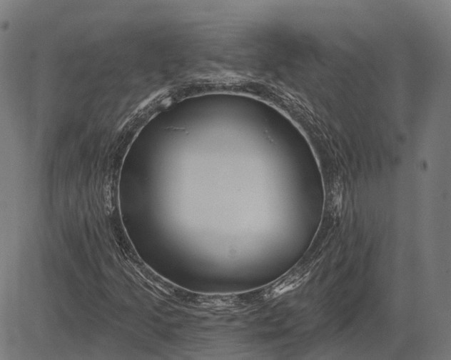 X0000082711205200702091739