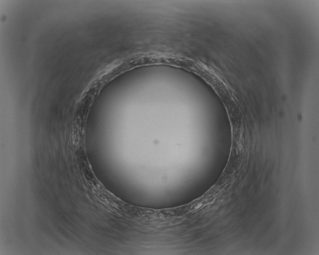 X0000082711207200702091739