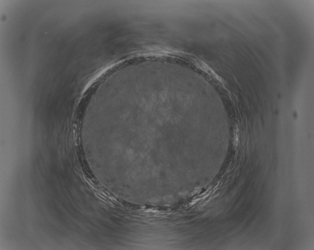 X0000082711208200702091739