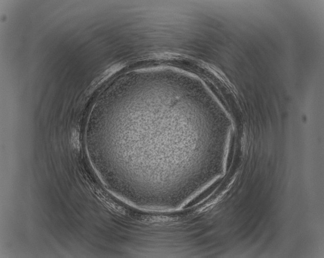 X0000082711209200702091739