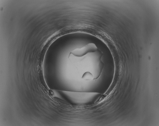 X0000082711210200702091739