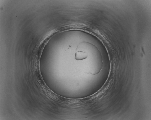 X0000082711211200702091739