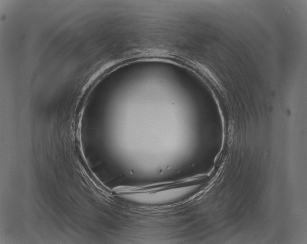 X0000082711212200702091739