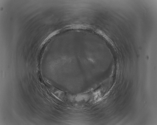 X0000082711213200702091739