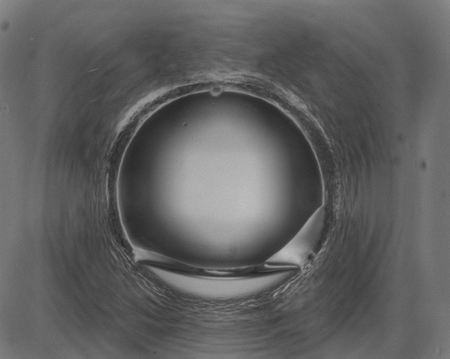 X0000082711214200702091739