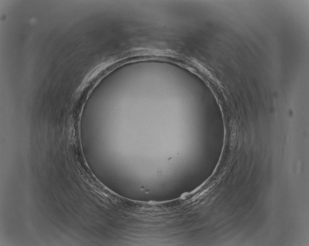 X0000082711215200702091739